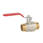 Vanne à boisseau sphérique mâle-mâle poignée plate rouge