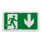 BAES d'évacuation à LED - 45 Lm - IP43