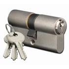 Cylindre européen 2 entrées 5 goupilles en laiton nickelé - varié - 30 x 30 mm