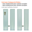 Boîtier de mise en applique pour verrou électromagnétique universel DBM1500EC