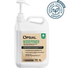 Nettoyant mains d'atelier WOOD POWER OGT - 5 L
