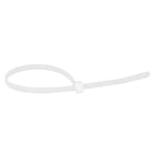 Collier d'équipement COLRING - incolore