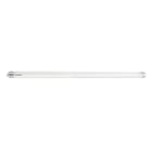 Tube LED TOLEDO AVANT T8 CCG