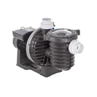Pompe piscine monophasée STA-RITE HD eau de mer