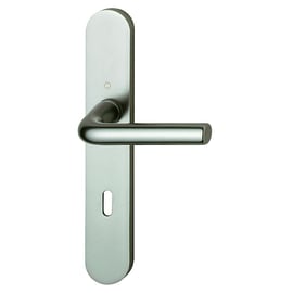 Ensemble sur grande plaque ARLES argent F1