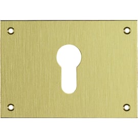 Rosace plate rectangulaire clé I laiton poli à visser