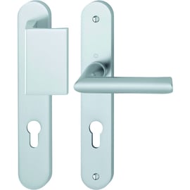 Ensemble palière sur grande plaque CONFLUENCE clé I argent F1