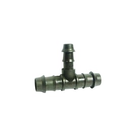 Té réduit cannelé