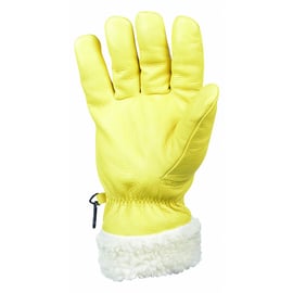 Gant de protection contre le froid ARTIC