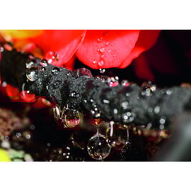 Tuyau poreux ECOPORE