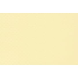 PVC armé ALKOR standard largeur 1,65 m - 1,65 m - sable