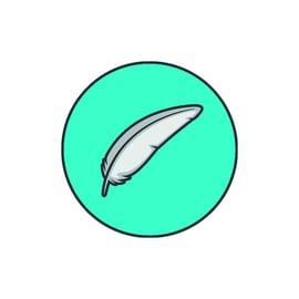 Robot de piscine DOLPHIN S100