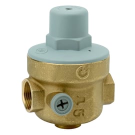 Réducteur de pression R539 - 3/4''