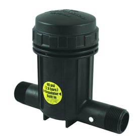 Filtre régulateur panier 1" 75 μ