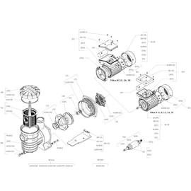 Pompe filtration FILTRA triphasée