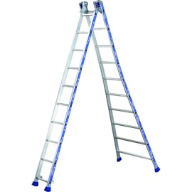 Échelle transformable PLATINIUM 2 plans