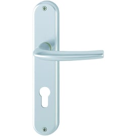 Ensemble sur petite plaque SAN-DIEGO argent F1