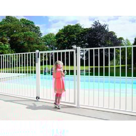 Ferme-portail avec charnière hydraulique TIGER argent