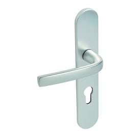 Ensemble palière sur grande plaque LOGIO argent clé I