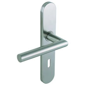 Ensemble sur grande plaque LINOX 493 inox clé L