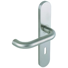 Ensemble sur grande plaque LINOX 492 inox clé L