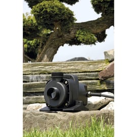 Pompe AQUAMAX DRY 8000