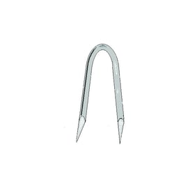 Crampillon clair en seau de 5 KG