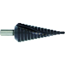 Foret étagé 1143872