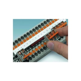 Bloc de jonction série PT - Push-in - 1 étage - 6 mm² - gris - PT 6