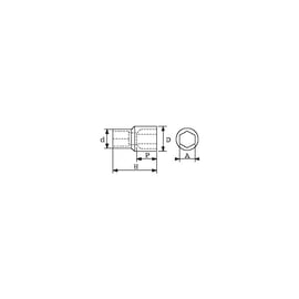 Douille courte 1/2" 6 pans SAH