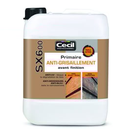 Primaire anti-grisaillement SX600 - 5 L - incolore