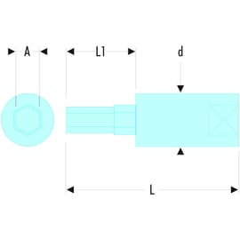 Douille tournevis pour vis 6 pans RT