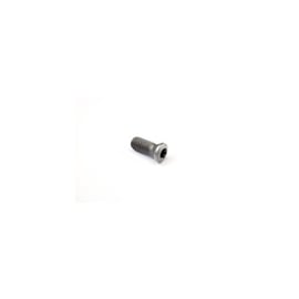Vis pour porte-plaquettes C-TP - T08P - M2,5 - Longueur : 5,5 mm