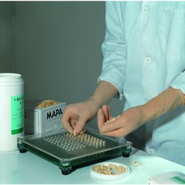 Gant à usage unique Solo 998 (boîte de 100)