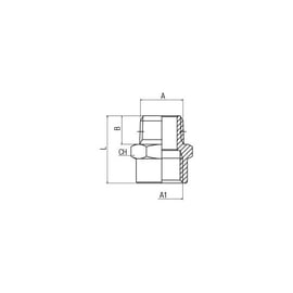 Grossisseur mâle conique/femelle cylindrique 62040 - acier inoxydable 316L - 3/8 - 1/2