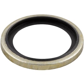 Rondelle joint bi-matière série 1613