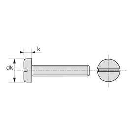 Vis à métaux tête cylindrique fendue PA 6,6 naturel