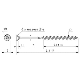 Vis pour construction bois tête fraisante Torx® Zingué