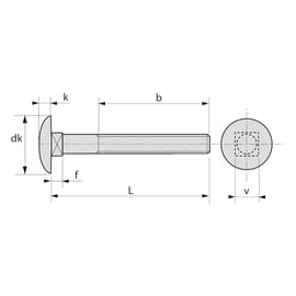 Vis tête ronde collet carré (TRCC) Inox A2