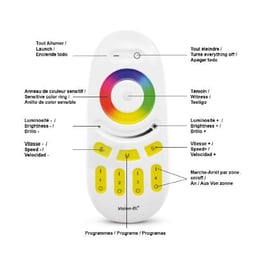 Télécommande éclairage et bassin 4 zones portée 20 m