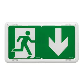 BAES d'évacuation à LED - 45 Lm - IP43