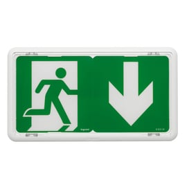 BAES d'évacuation à LED - 45 Lm - IP43