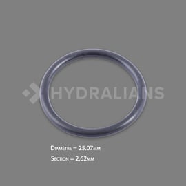 Joint torique étanchéité sonde ECL6