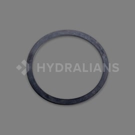 Joint torique pour diffuseur POOL M