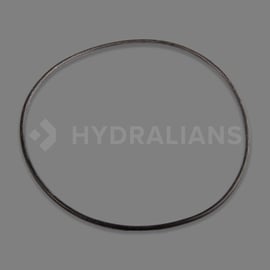 Joint de couvercle vanne MV Triton 2"