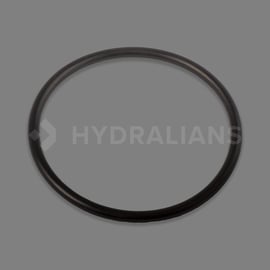 Joint raccord union D63 pour pompe TIFON/SILVER/WIPER3