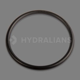 Joint traversée pro side 11m3/14m3 Hayward