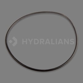 Joint étanchéité vanne filtre sab ta 100