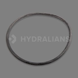 Joint d'étanchéité pour vanne de filtre à sable TAGELUS