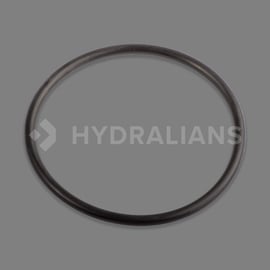 Joint volute prefiltre challenger